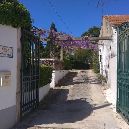 토레스노봐스 Casa Dos Arrabidos 게스트하우스 외부 사진