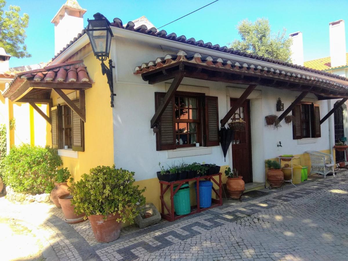 토레스노봐스 Casa Dos Arrabidos 게스트하우스 외부 사진