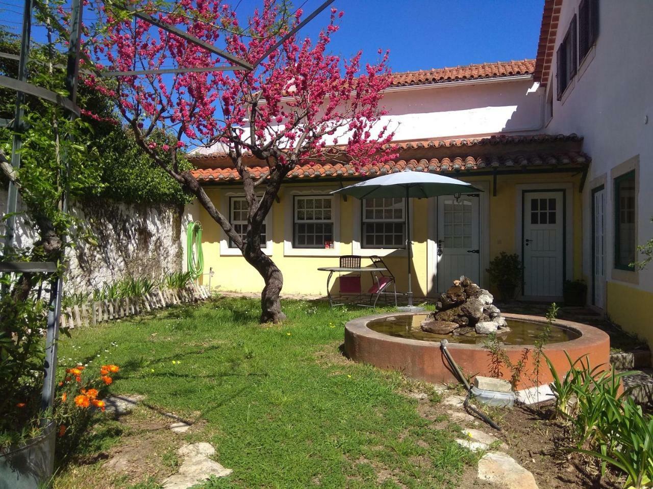토레스노봐스 Casa Dos Arrabidos 게스트하우스 외부 사진